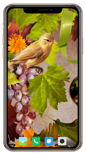 All Seasons Wallpaper - v1.09