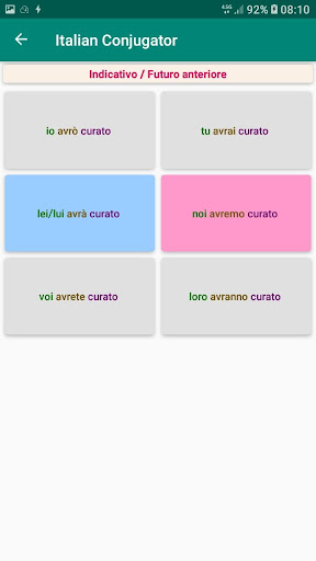 Italian Verb Conjugation Screen 3