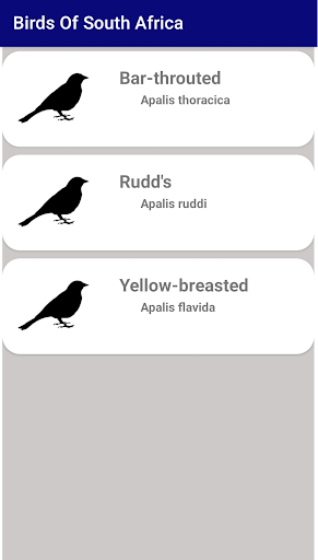 Birds of South Africa Screen 3
