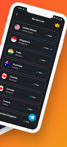 Lion VPN Pro: Secure VPN Proxy Screen 2