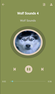 أصوات الذئب - Wolf Sounds