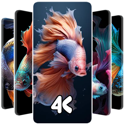 Betta Fish Wallpaper logo