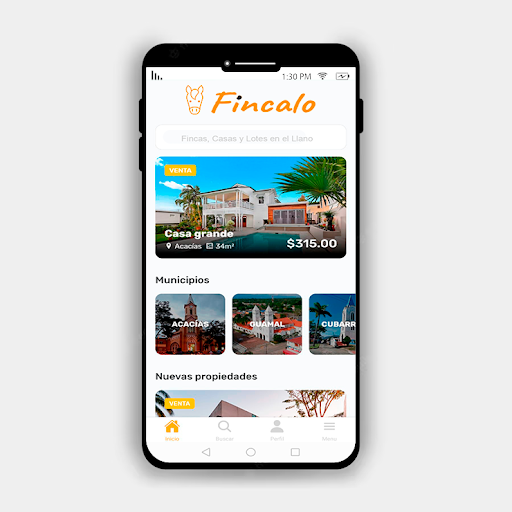 Fincalo Screen 2