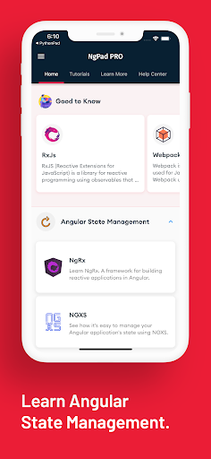 Screenshot of Learn Angular: AngularDev PRO