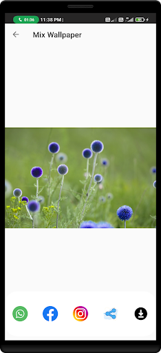 Cute DP and Wallpaper