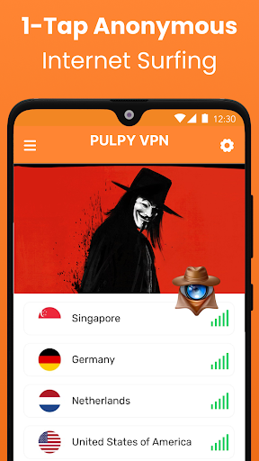 Pulpy VPN - Secure VPN Proxy Screen 2