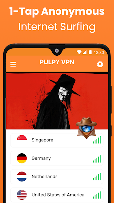 Pulpy VPN - Secure VPN Proxyのおすすめ画像2