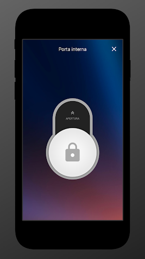 Smart-Access Screen 2