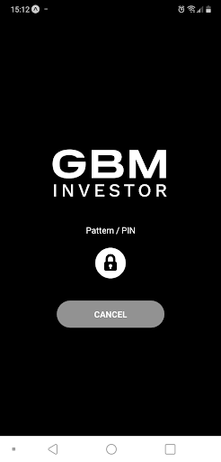 GBM Investor Screen 2