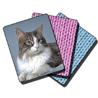Kitty cat cards mahjong