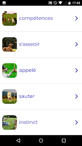 Aperçu de l'application
