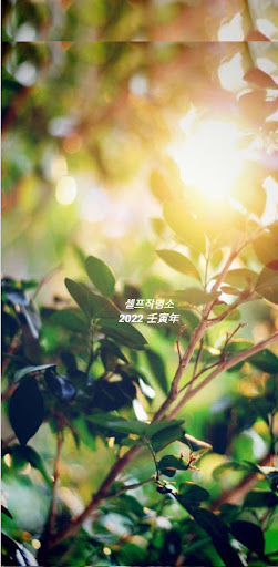 Android application 2024 신년운세, 사주, 궁합, 신살 - 셀프작명소 screenshort