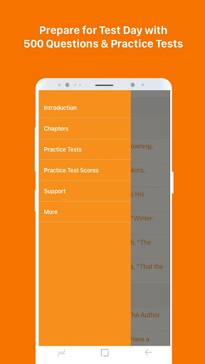 500 AP English Literature Ques Screen 2