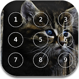 Cat password Lock Screen icon