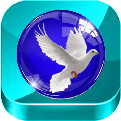 Lobiri NT et français English logo