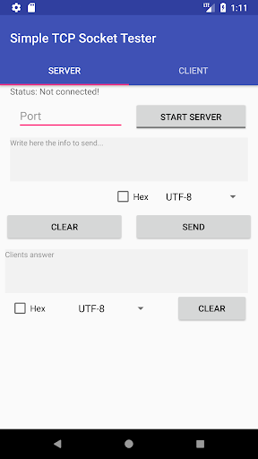 Simple TCP Socket Tester Screen 3