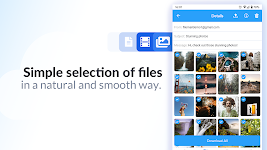 screenshot of Filemail - File Transfer To Send Large Files