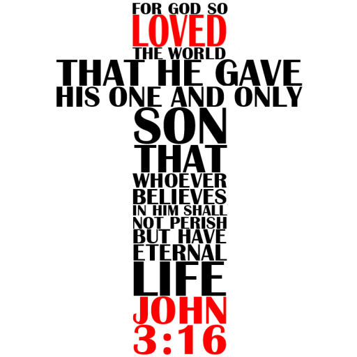 Bible Salvation Jn316 logo