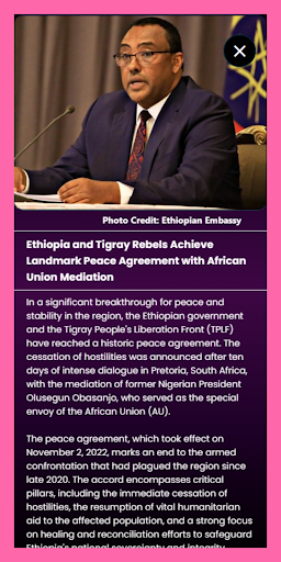 Addis Daily Screen 2