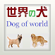 世界の犬（Dog of world）- 大きい小さい種類画像
