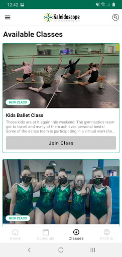 Kaleidoscope of Dance and Gymn Screen 3