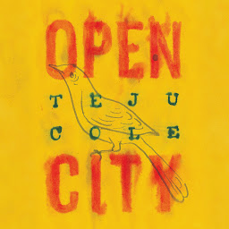 Icon image Open City: A Novel