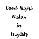 Good Night Wishes in English icon