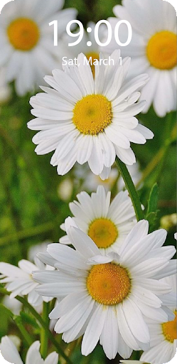 Spring Live Wallpaper Parallax Screen 3