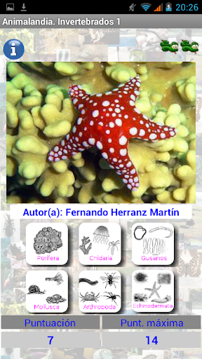Animalandia Invertebrados 1 Screen 2