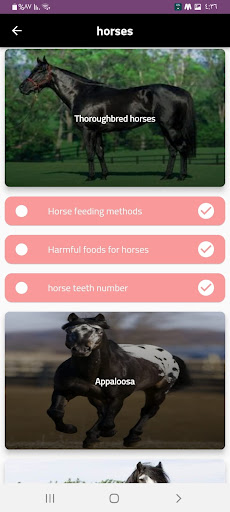 horses Screen 2