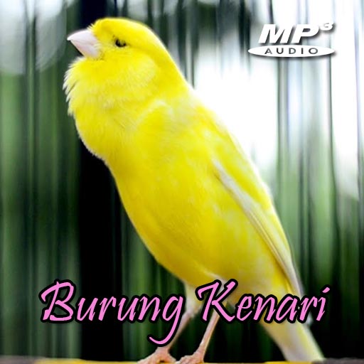 Masteran Kenari Gacor MP3 logo