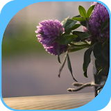 A Lonely Purple Flower icon