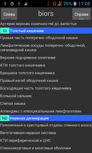 Предварительный просмотр приложения
