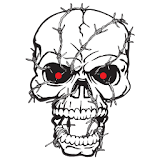 Skulls and More (ADW / Apex) icon