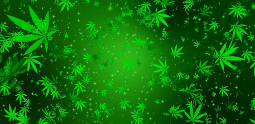 Marijuana Live Wallpaper Blast Apps On Google Play