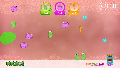 Micros Screen 2