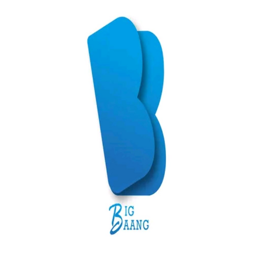 Bigbaang Vendor logo