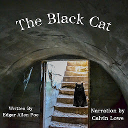 Icon image The Black Cat