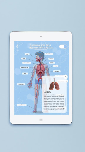 Screenshot of Humanoid 4D+