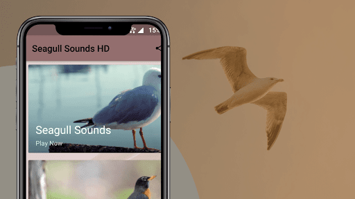 Seagulls Sounds Screen 2