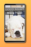screenshot of Good Night Quotes 2026