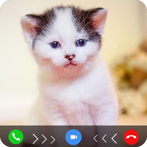 cat fake video call prank Laai af op Windows
