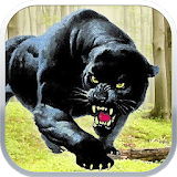 Black Panther Sniper Shooter icon
