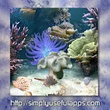 Coral Reef Live WP icon