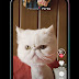 Cara Nuyul Apk Tiktok Lite / 30+ Ide Cara Daftar Tiktok Lite - Android Pintar : Cara nuyul tiktok lite dengan kode referral.