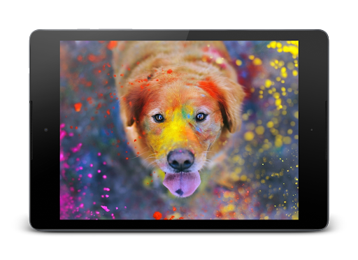 Funny Dogs Lock Screen