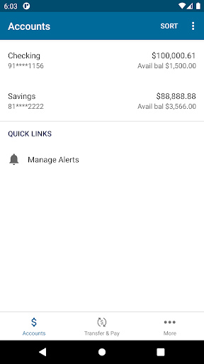 Diablo Valley FCU Screen 3