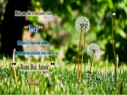 Bom dia, Boa tarde, Boa Noite