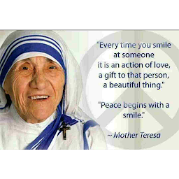 Mother Teresa High School: Download & Review