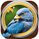 Bird Quiz: Feather Fun Trivia - Androidアプリ